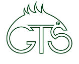 Green Traffic Software logo